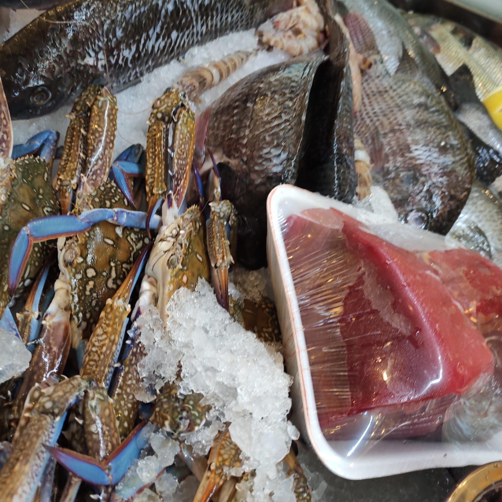 WhatsApp Image 2021-08-19 at 1.53.13 PM (3).jpeg